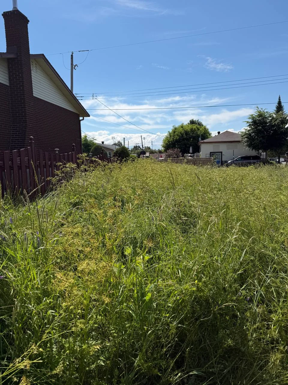 Avant : terrain r&eacute;sidentiel en friche &agrave; Longueuil