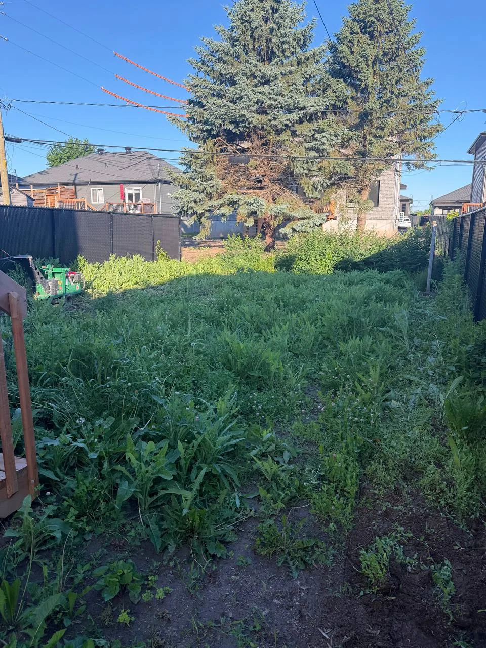 Terrain avant travaux pour pose de tourbe et nivellement à Saint-Philippe