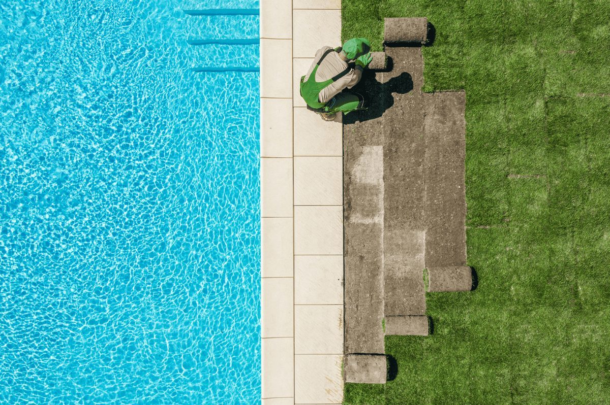 Pose de tourbe — rouleaux de gazon frais sur Rive-Sud