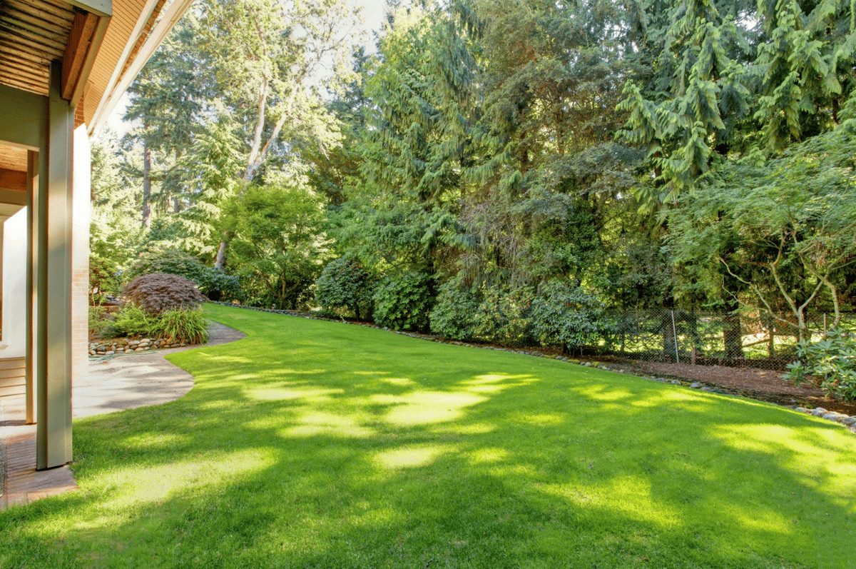 Terrassement professionnel
