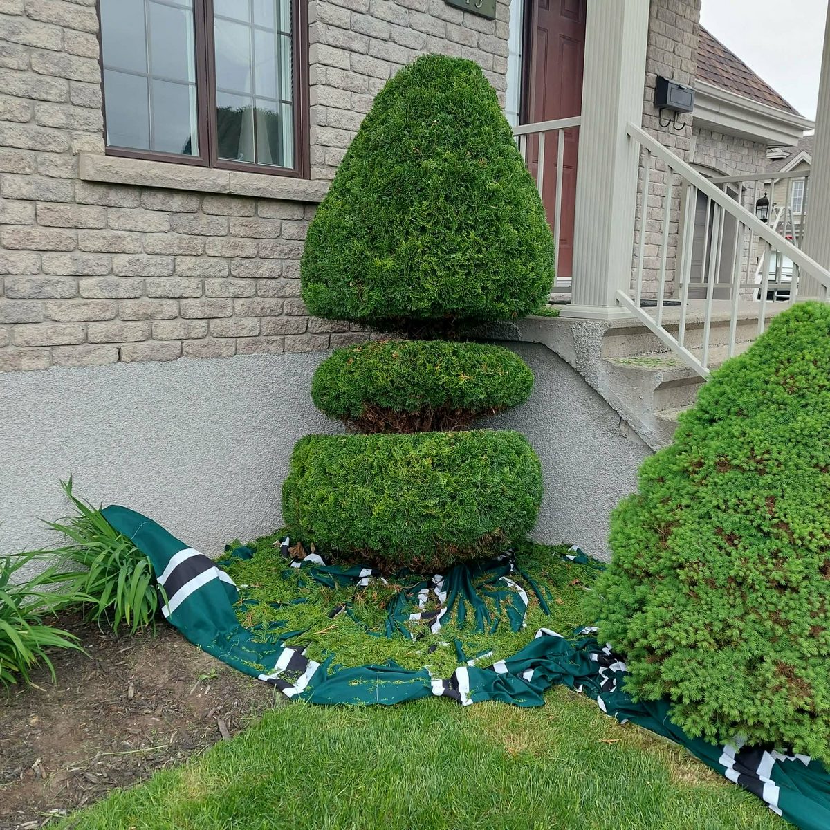 Paysagiste L'Excellence Inc - Pose de tourbe Saint-Hubert photo 6