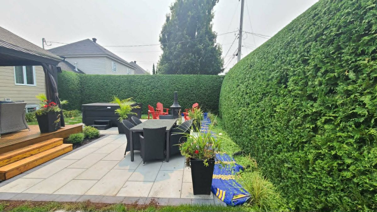 Paysagiste L'Excellence Inc - Pose de tourbe Saint-Hubert photo 3