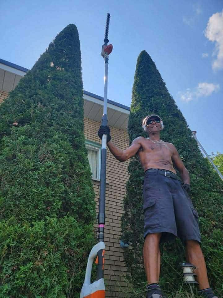 Paysagiste utilisant un taille-haie &agrave; perche pour atteindre le sommet d'une haie de c&egrave;dres