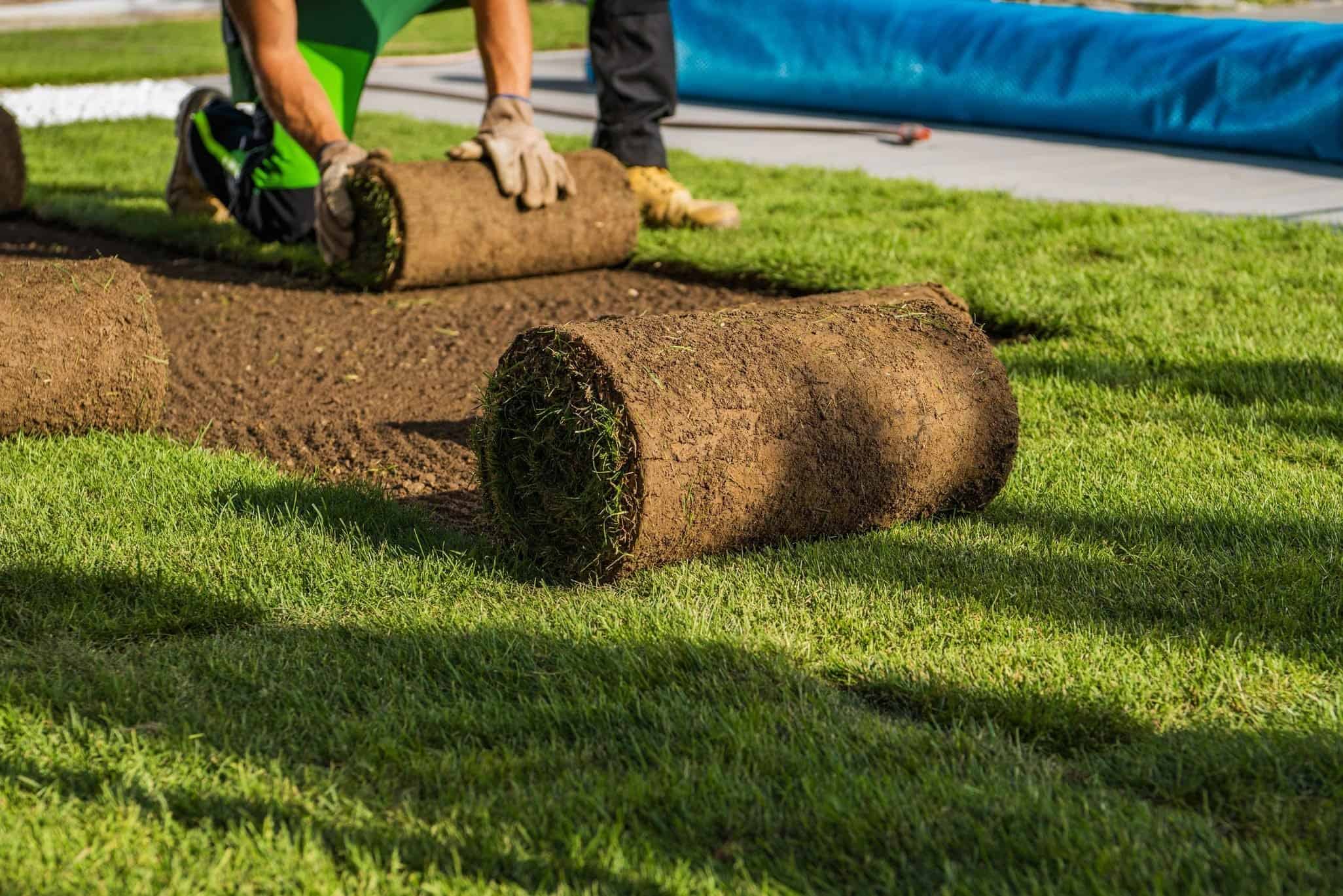 Amenagement paysager complet avec nivellement et gazon